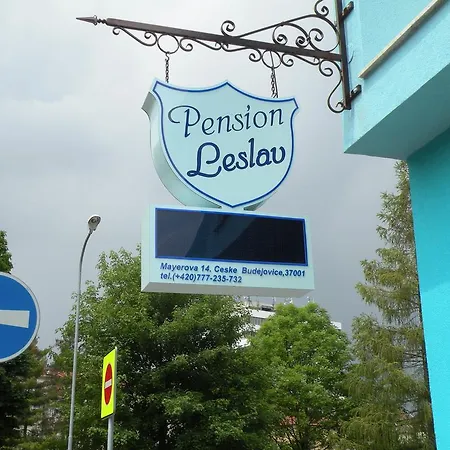 Penzion- Leslav אורחן